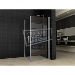 Wiesbaden Dubbele Swingdeur Uni 100x100x200 Chroom 8 mm NANO